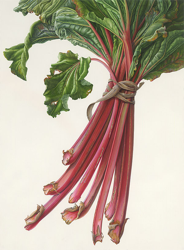 Bunch of Rhubarb