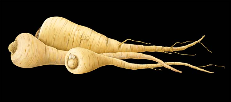 parsnips