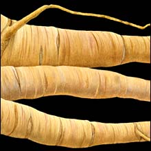 Parsnips