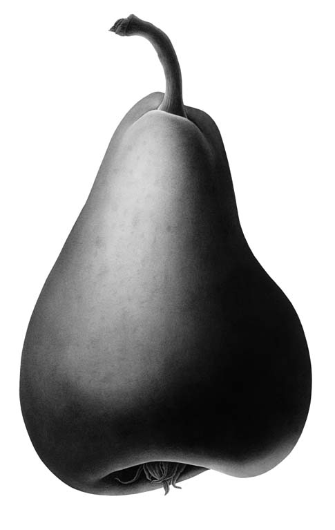 Pear