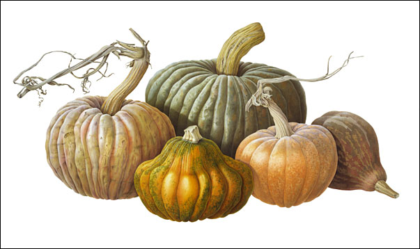 Group of Pumpkins